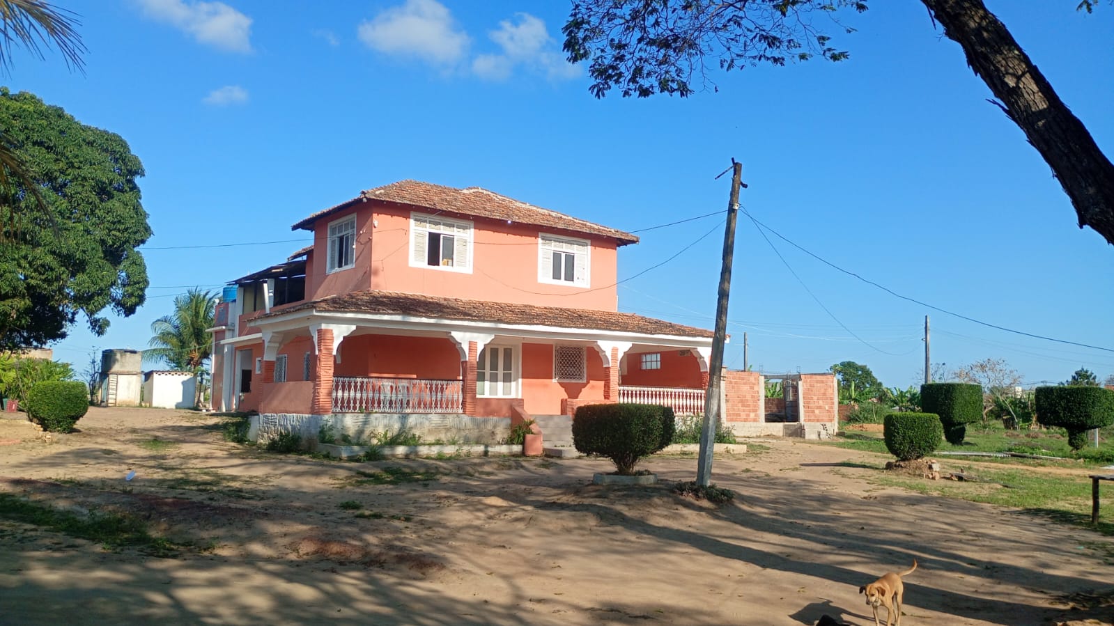 Foto 4